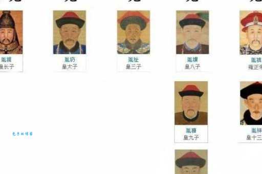 康熙的儿子们谁最厉害 揭秘清朝皇子的命运与成就