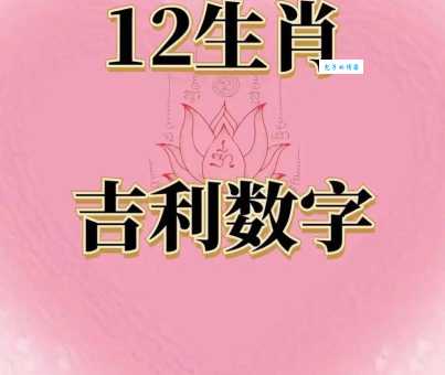出尔反尔打一正确生肖和数字答案在这里