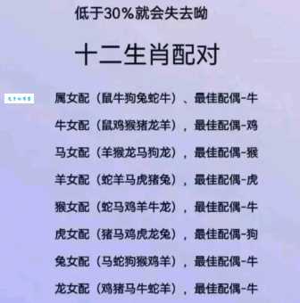 出尔反尔打一正确生肖和数字答案在这里