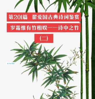 茂林修竹是什么意思 带你了解背后的诗意画面