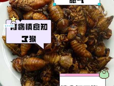 知了猴的营养价值高不高吃它有什么讲究
