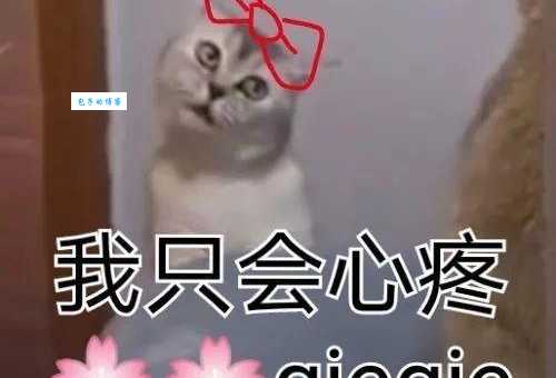 GIEGIE是什么梗 为什么大家都在说这个词