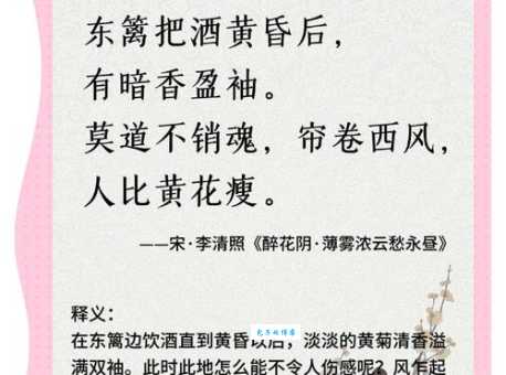 宫女如花满春殿下一句出自哪里诗词背景介绍