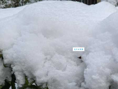 大雪过后格外寂静是因为雪有这种神奇特性