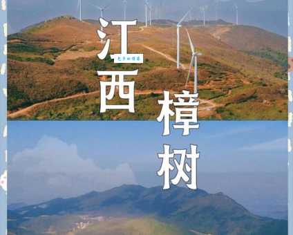 香樟树主要分布在长江以南 为什么北方很少见