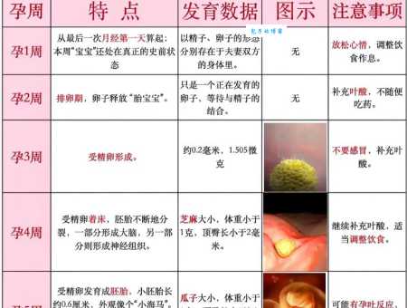 bbn是什么意思 揭秘bbn的真实含义和应用场景