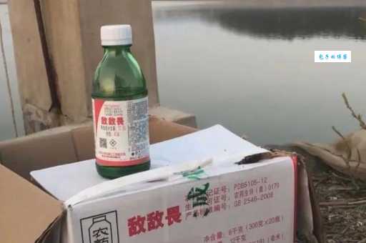 敌敌畏养海参真相 养殖户自曝行业潜规则