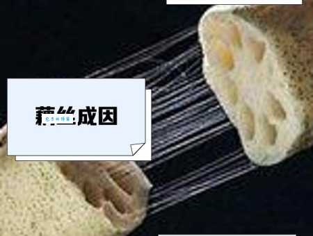 藕断丝连的丝其实是植物的这种组织