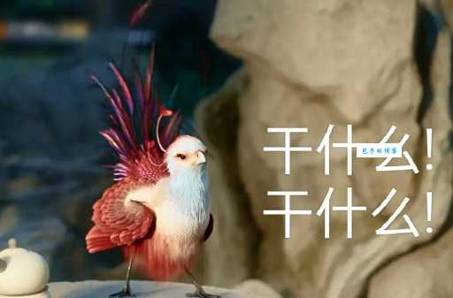 咯咯哒是什么意思看完这个你就全明白了