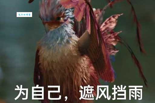 咯咯哒是什么意思看完这个你就全明白了