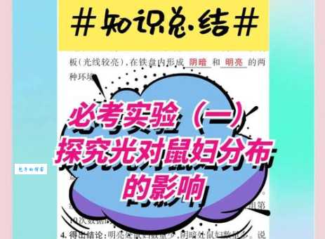 光对鼠妇生活的影响有多大 看看这个简单实验就知道