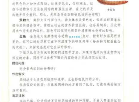 光对鼠妇生活的影响有多大 看看这个简单实验就知道