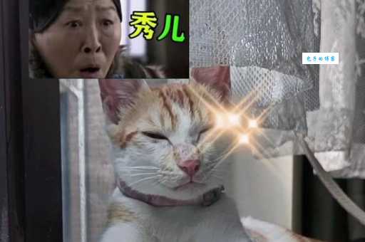 秀儿是你吗什么梗 为什么大家都在刷这句话