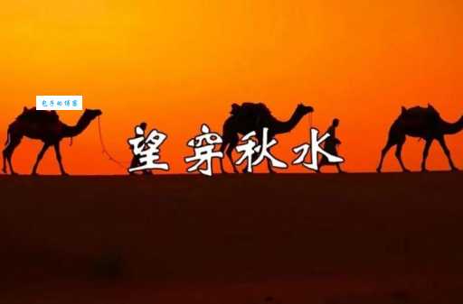 望穿秋水是什么动物这个谜底太有意思了