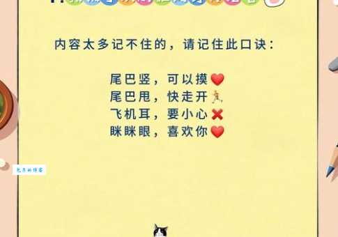 爱杀宝贝是什么意思简单易懂的解释来了