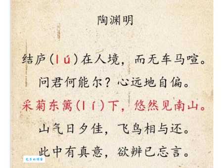 酌酒以自宽下一句怎么接完整诗句解析在这里