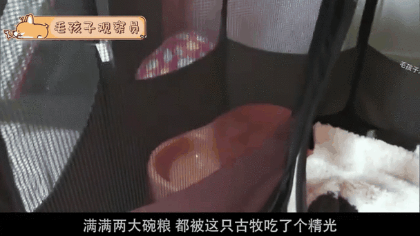 二皮脸是什么意思 生活中你遇到过这样的人吗