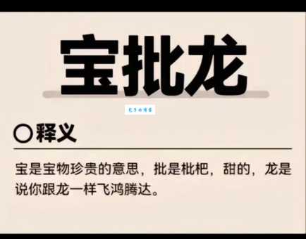宝批龙什么意思四川话搞笑梗大解析