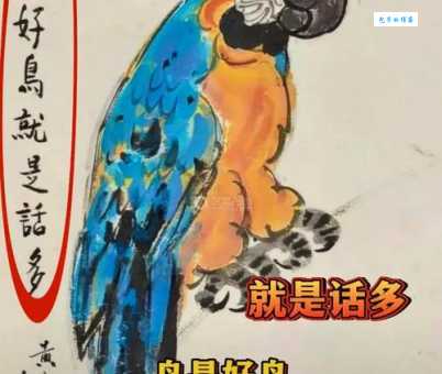 画虎烂是什么意思为什么大家都在说这个词