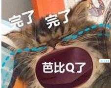 芭比Q是什么意思梗的由来和用法详解