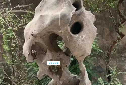 太湖石的特点有哪些 带你了解这种独特石材的魅力