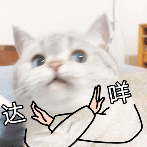 达咩是什么意思网络用语解析一看就懂