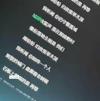 缘分落地生根是我们是什么意思 揭秘这句话背后的浪漫故事