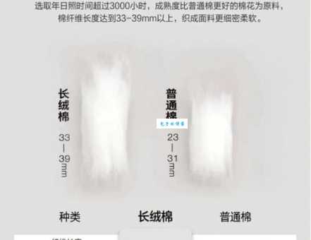 bci棉是什么意思 它和普通棉花有啥区别