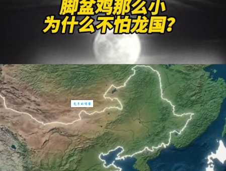 脚盆鸡是哪个国家揭秘这个外号的由来