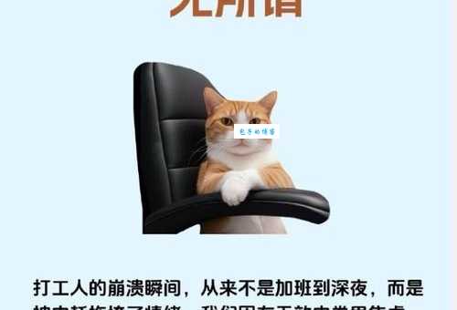 无可挑剔是什么意思 工作中怎样达到这个标准
