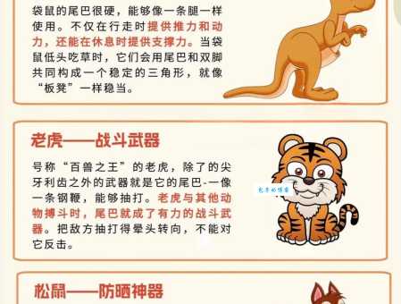 想了解尾巴再生的动物有哪些 快来看这些神奇案例