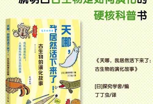 为什么叫芒果台背后有什么有趣的故事