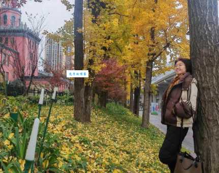 女生问你喜欢银杏吗什么意思 原来暗藏这些小心思