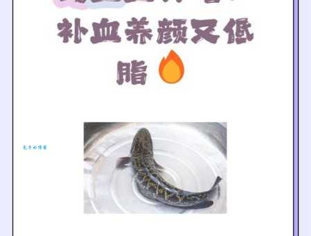 乌鸡鲅鱼是什么梗 最近爆火的网络用语解析