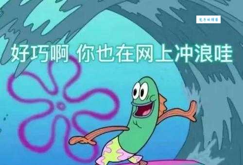 乌鸡鲅鱼是什么梗 最近爆火的网络用语解析