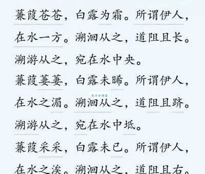 蒹葭苍苍怎么读 这句诗的读音和含义