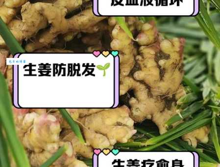 生姜头是什么意思为什么这么称呼