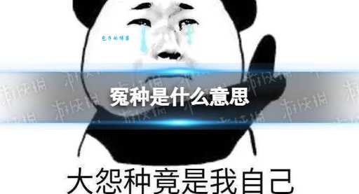 怨种是什么意思 为什么说别人是怨种