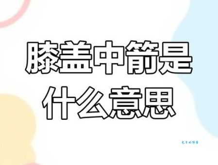 膝盖中箭是什么意思原来这个梗出自这里