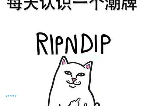 rip是什么梗 一篇文章带你了解rip的由来