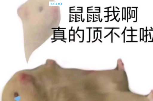 鼠鼠我呀是什么梗 为什么大家都在说这个流行语