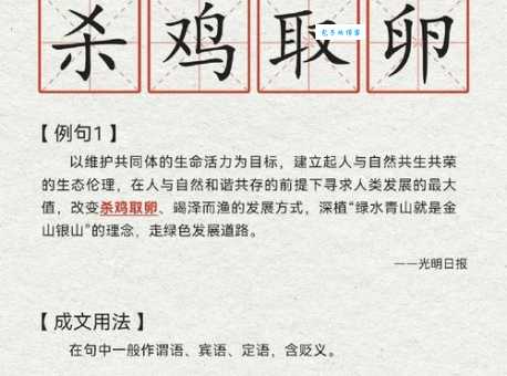 然并卵是什么意思这个梗的来源和实际应用场景