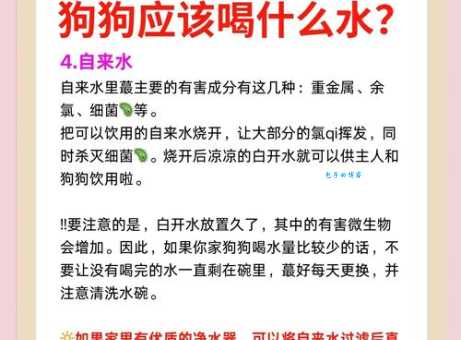 信纳水是什么意思 原来它还有这些用途