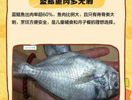 蓝鱼还叫什么鱼 盘点它的常见别名