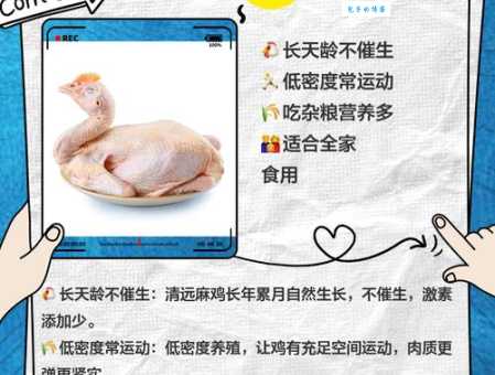 脚盆鸡为什么被用来称呼日本 看看这个外号的起源