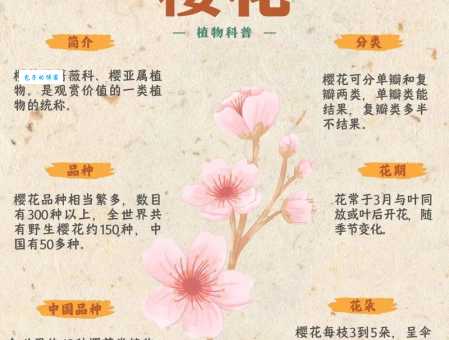 sakura是什么意思 樱花在不同国家的寓意和故事
