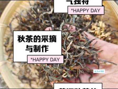 秋茶什么意思网络用语简单解释来了