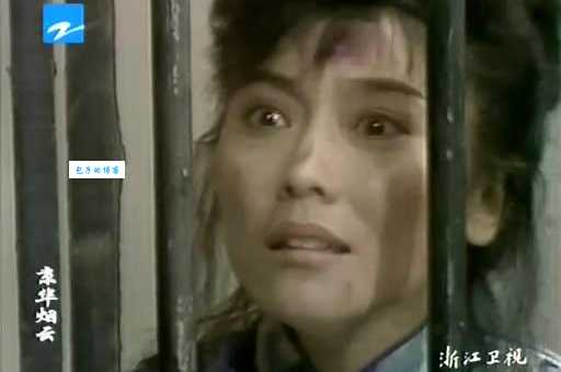 官晶华中国台湾女演员的成名之路与代表作品盘点