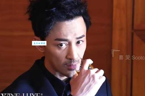 林峯演艺生涯全解析为何能红遍两岸三地