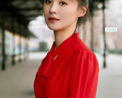 毛林林为什么受欢迎 中国内地女演员的魅力所在